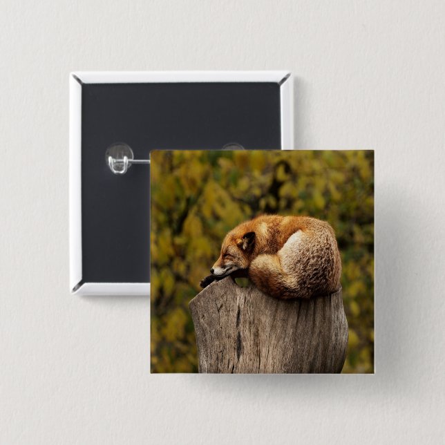 sleeping fox photo 15 cm square badge (Front & Back)