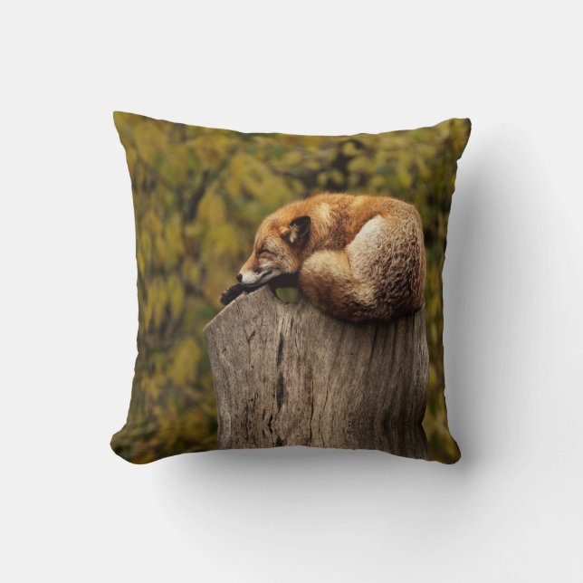 Sleeping fox photo cushion (Front)