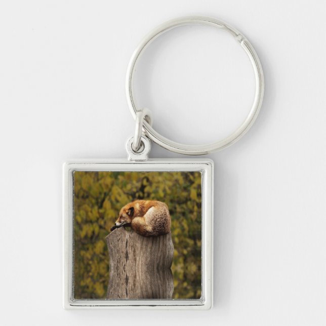 Sleeping fox photo key ring (Front)