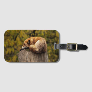 Sleeping fox photo luggage tag