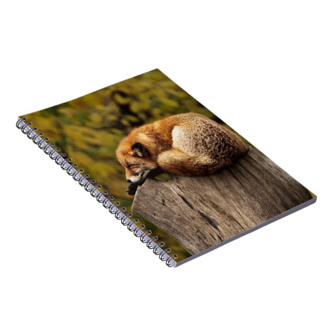 Sleeping fox photo notebook (Right Side)