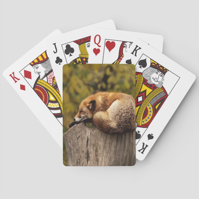 Sleeping fox photo playing cards (Back)