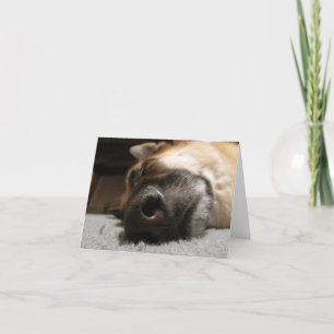 Sleeping German Shepherd Doggone Birthday Card