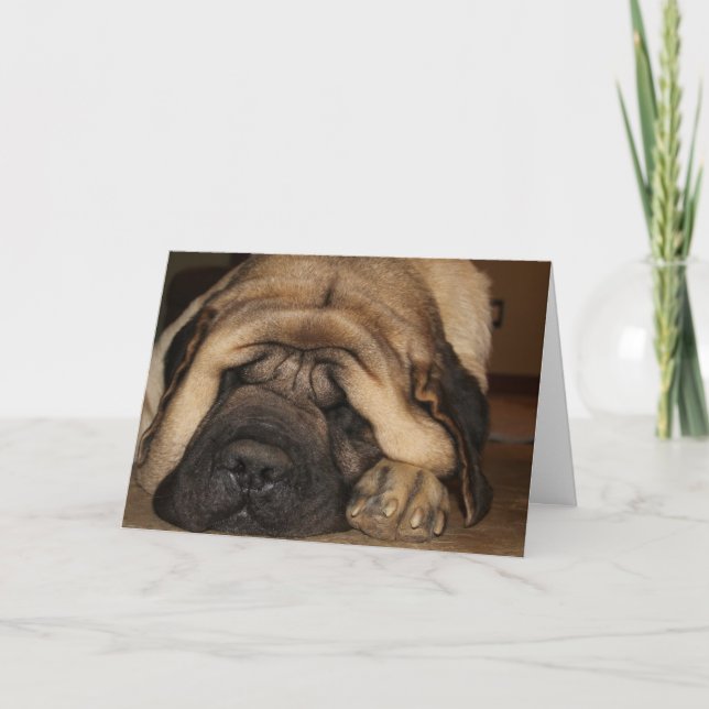 sleeping giant mastiff waiting for cake card (Front)