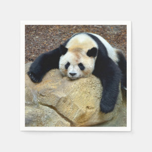 Sleeping giant panda slumped on a rock napkin
