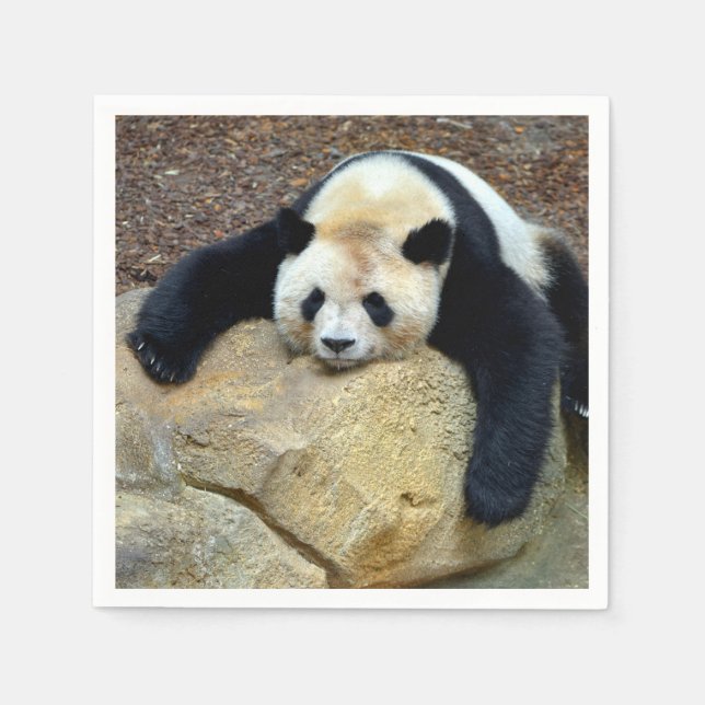 Sleeping giant panda slumped on a rock napkin (Front)