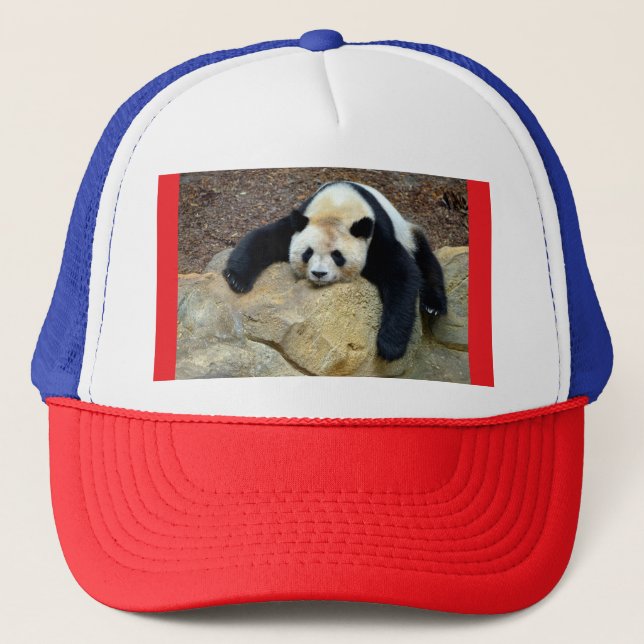Sleeping giant panda slumped on a rock trucker hat (Front)