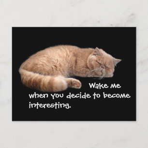Sleeping Ginger Cat Funny Wake Me Quote Postcard