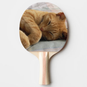Sleeping Ginger Cat Ping Pong Paddle