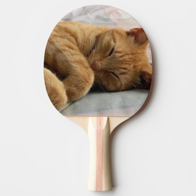 Sleeping Ginger Cat Ping Pong Paddle (Front)