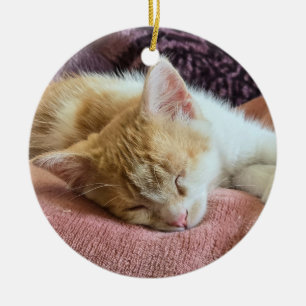 Sleeping ginger kitten ceramic ornament