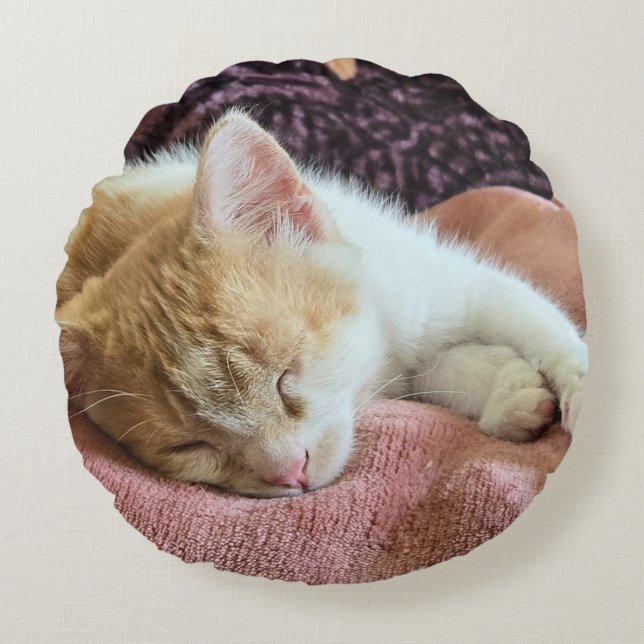 Sleeping ginger kitten round cushion (Front)