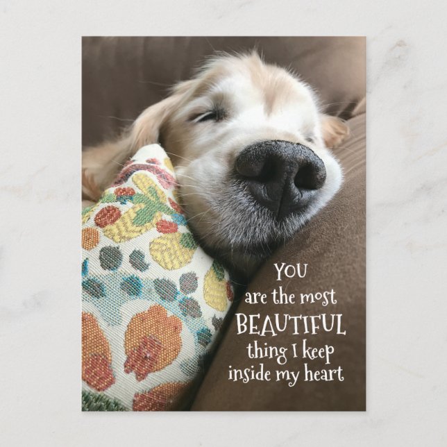 Sleeping Golden Retriever Beautiful Thing Love Postcard (Front)