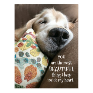 Cute Sleeping Dogs Quotes