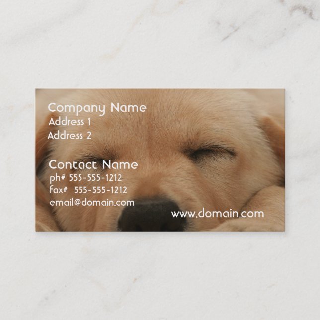 Sleeping Golden Retriever  Business Card (Front)