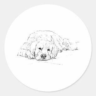 Sleeping Golden Retriever, Dog Drawing  Classic Round Sticker