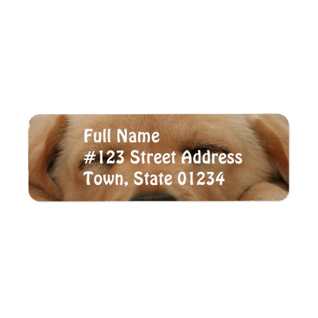 Sleeping Golden Retriever Mailing Label Return Address Label (Front)