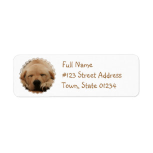 Sleeping Golden Retriever Mailing Label Return Address Label