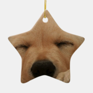 Sleeping Golden Retriever Ornament