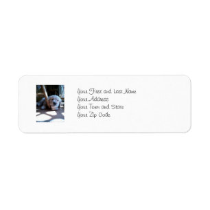 Sleeping Golden Retriever Puppy Return Address Label