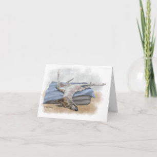 Sleeping Greyhound Cartoon Thank You Card