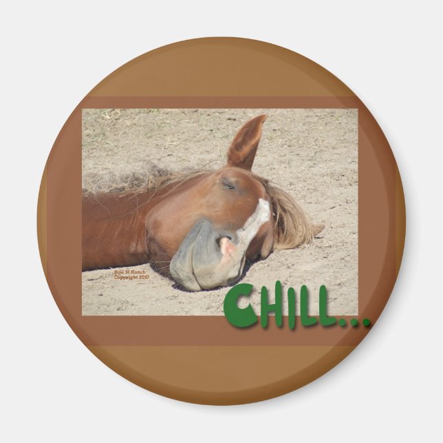 Sleeping  Horse Smile: Chill Magnet (Front)