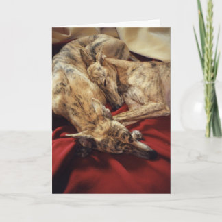 Sleeping Hounds Holiday Card