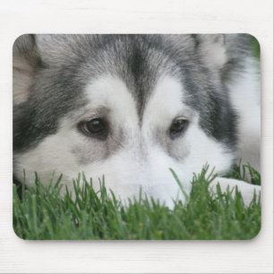 Sleeping Husky Mouse Pad