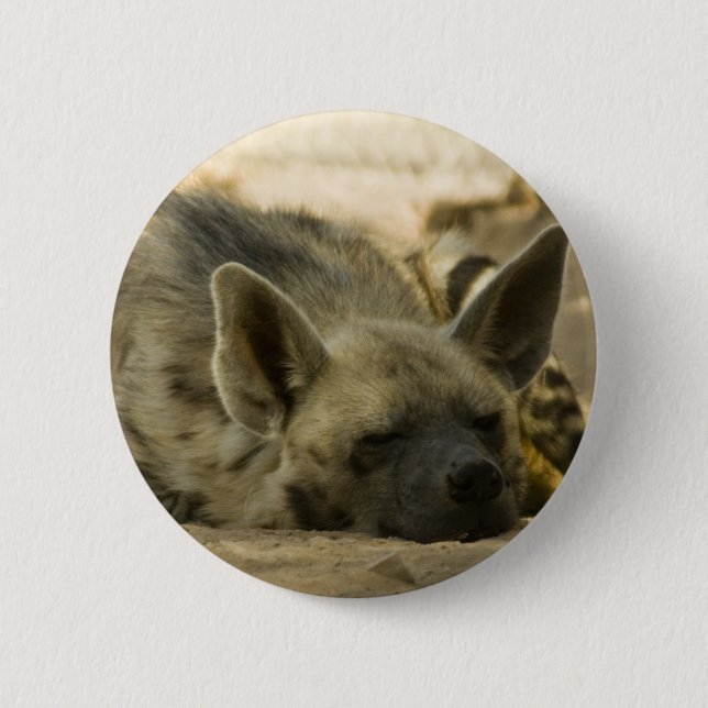 Sleeping Hyena  Button (Front)