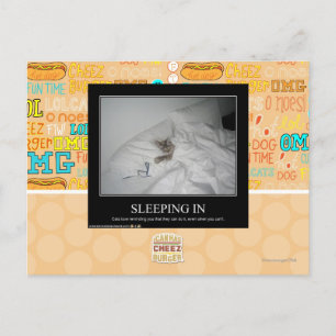 Sleeping In Postcard