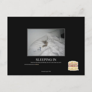 Sleeping In Postcard