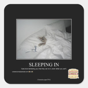 Sleeping In Square Sticker