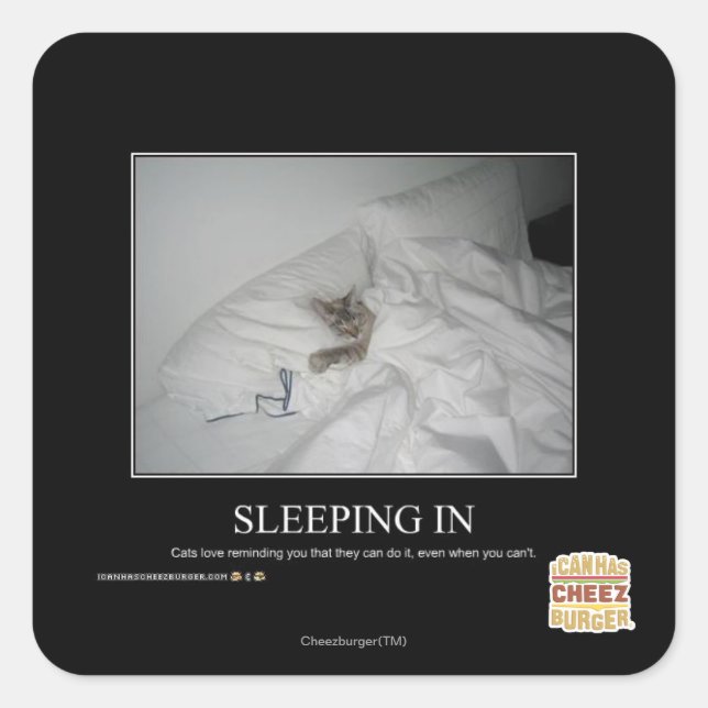 Sleeping In Square Sticker (Front)