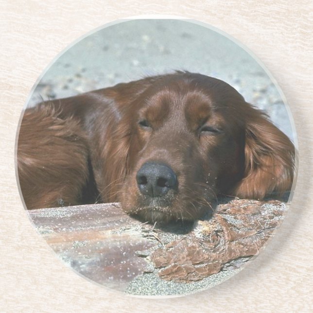 Sleeping Irish Setter Coaster (Front)
