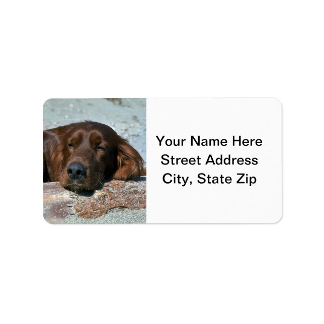 Sleeping Irish Setter Label (Front)