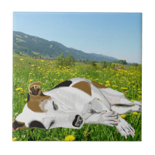Sleeping Jack Russell in a colourful flower Meadow Ceramic Tile