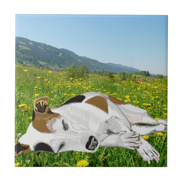 Sleeping Jack Russell in a colourful flower Meadow Ceramic Tile (Front)