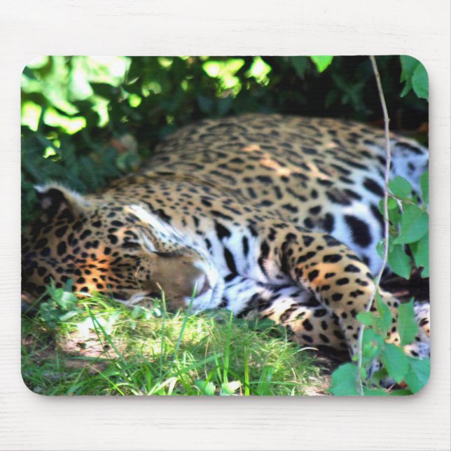 Sleeping Jaguar Mouse Pad (Front)