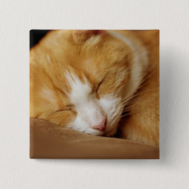 Sleeping Kitten 15 Cm Square Badge (Front)