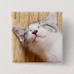 Sleeping Kitten 15 Cm Square Badge