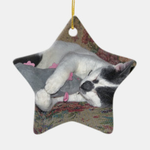 Sleeping Kitten Ceramic Tree Decoration