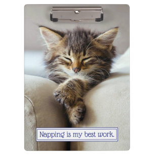Sleeping Kitten Clipboard