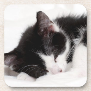 Sleeping Kitten Coaster