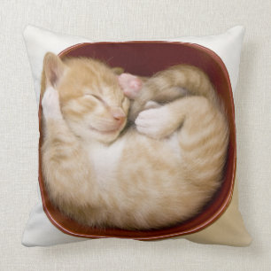 Sleeping Kitten Cushion