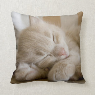 Sleeping Kitten Cushion