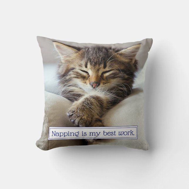 Sleeping Kitten Cushion (Front)