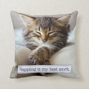 Sleeping Kitten Cushion