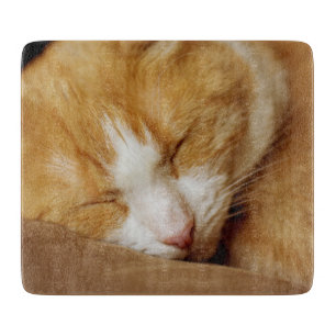 Sleeping Kitten Cutting Board