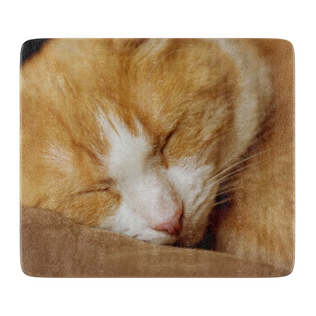 Sleeping Kitten Cutting Board (Front)