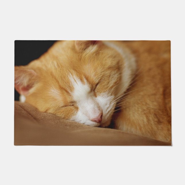 Sleeping Kitten Doormat (Front)